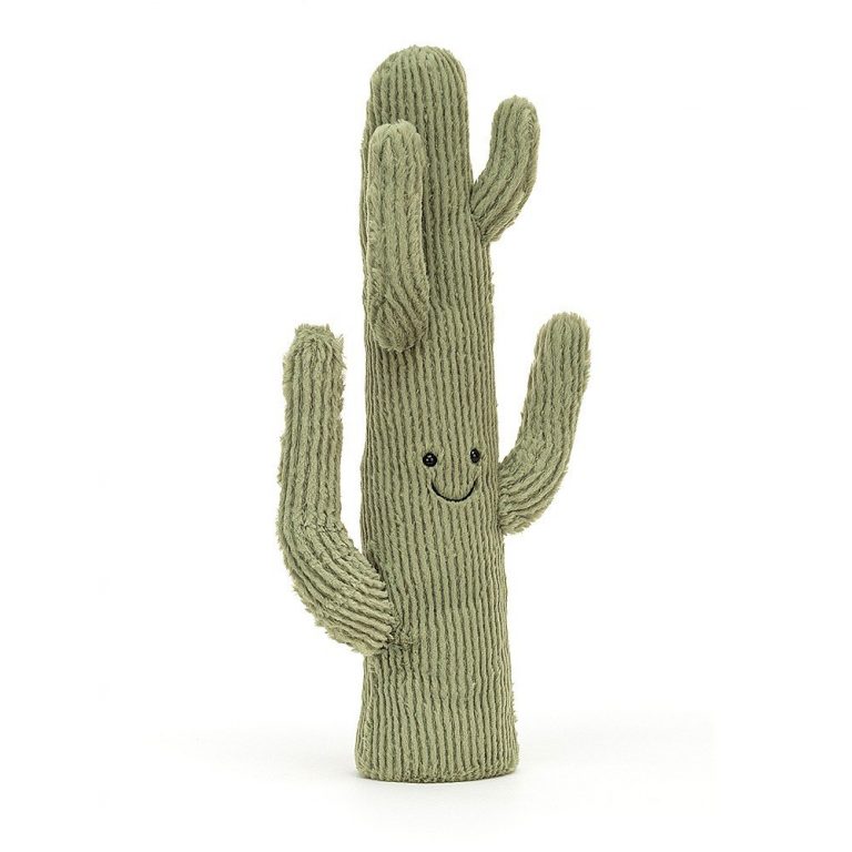 Cactus Jellycat, Peluche adulte enfant, drôle humour, qualité, douces. Le Grand magasin Rabastens.